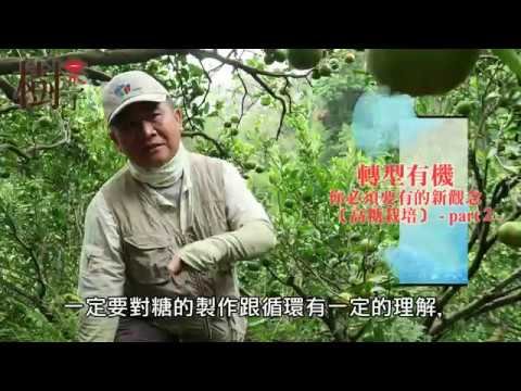原來樹的學問這麼大