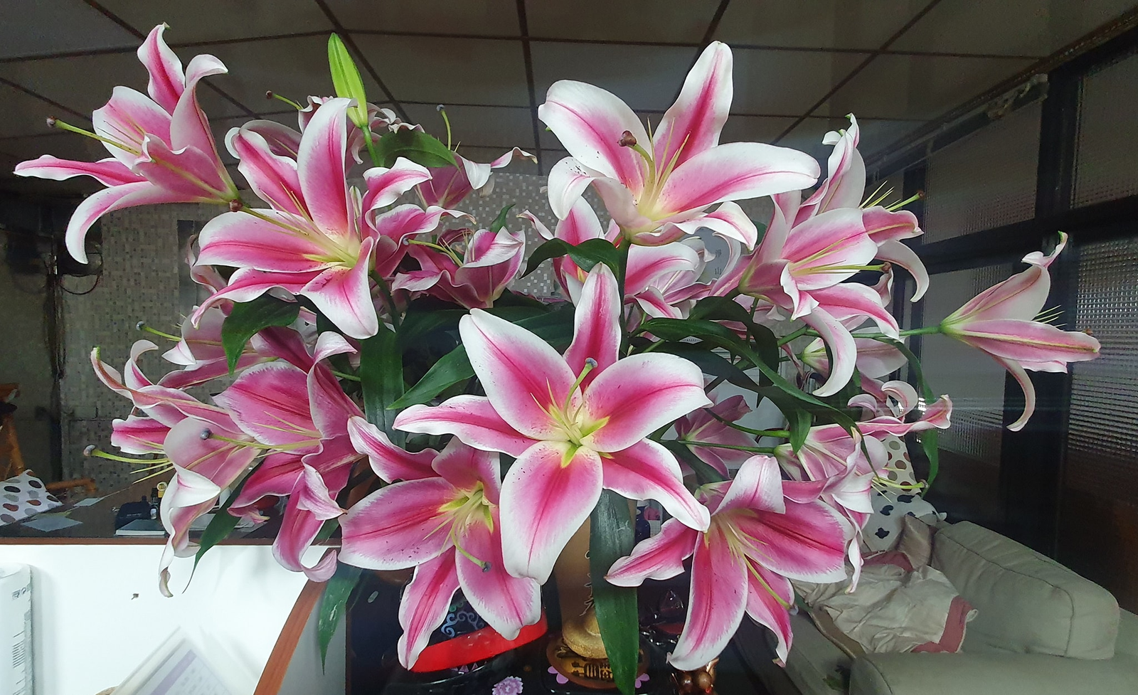 百合，在今天爆炸了