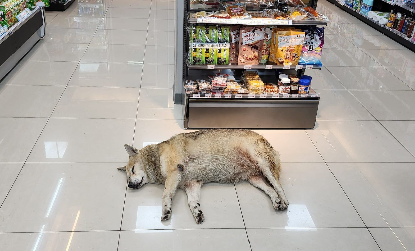 萊爾富店長