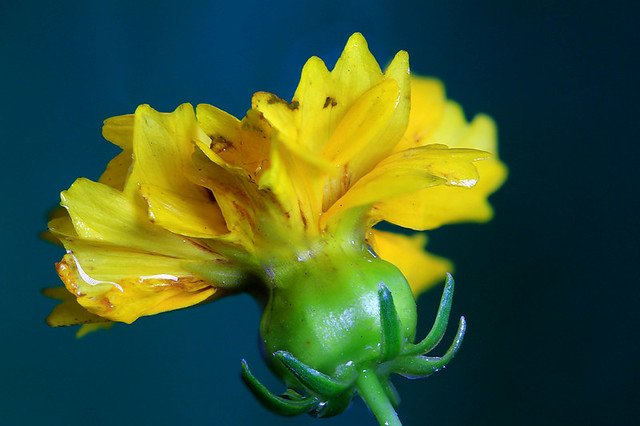 20110724-042-w960