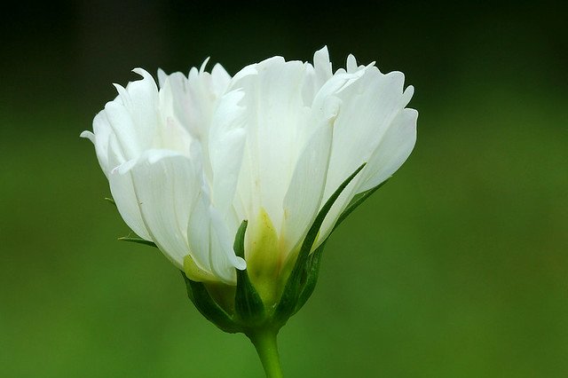 20110724-006-w960