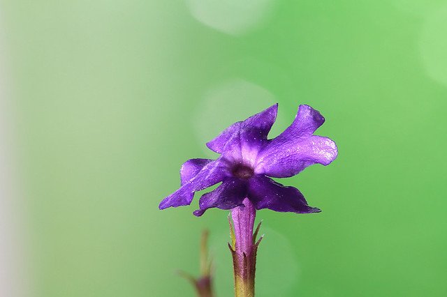 20110724-030-w960