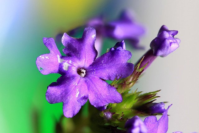 20110724-028-w960