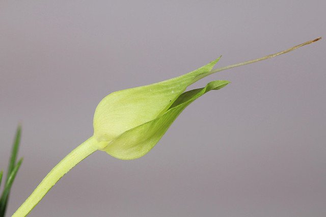 20110724-039-w960