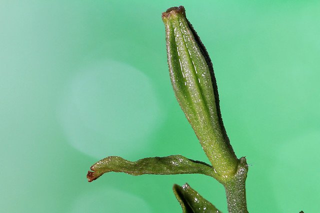 20110724-032-w960
