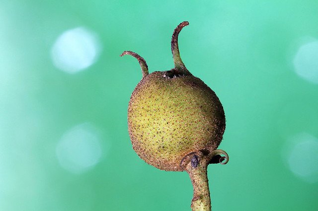 20110724-027-w960
