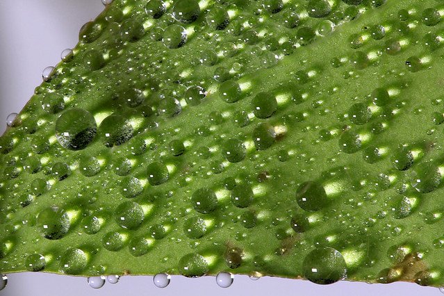 20110724-009-w960