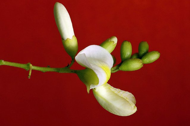 20110721-21.48.45 ZS DMap-w960