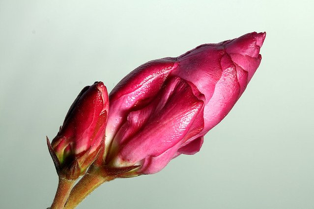 20110721-01.05.29 ZS DMap-w960
