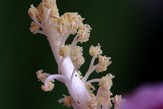 20110724-018-w960
