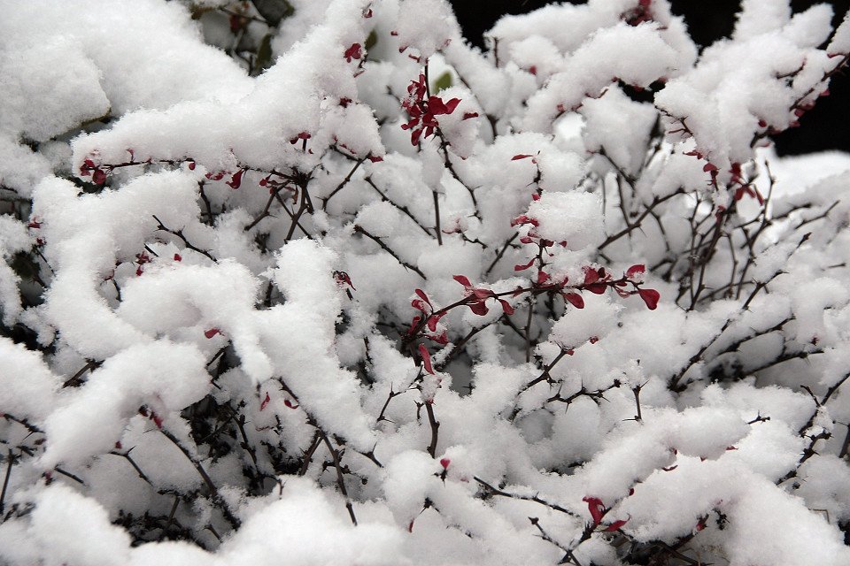 20111120-031-w960.jpg
