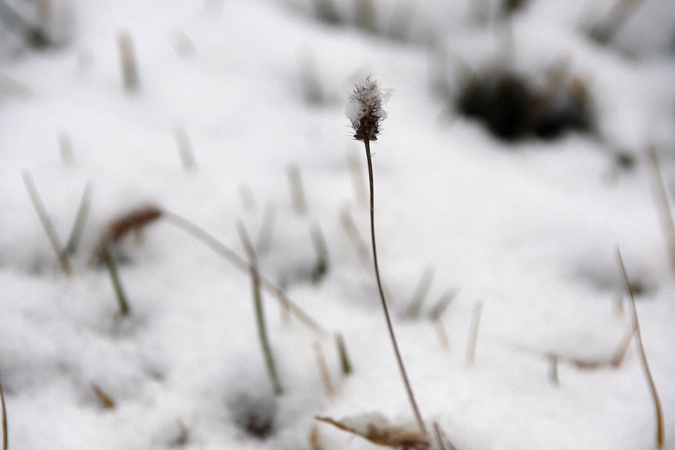 20111120-038-w960.jpg