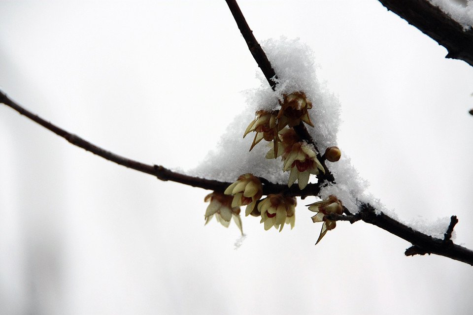 20111120-017-w960.jpg