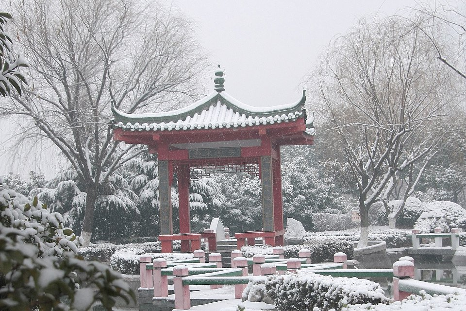 20111120-023-w960.jpg