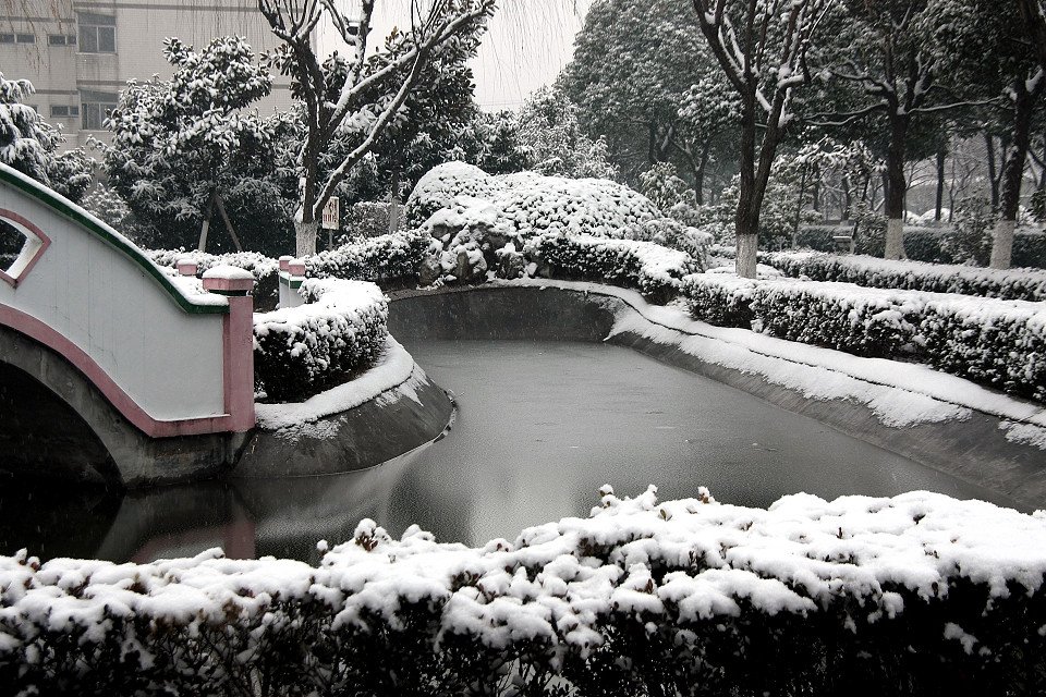 20111120-027-w960.jpg