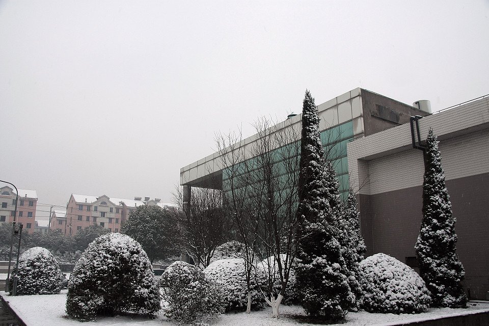 20111120-040-w960.jpg