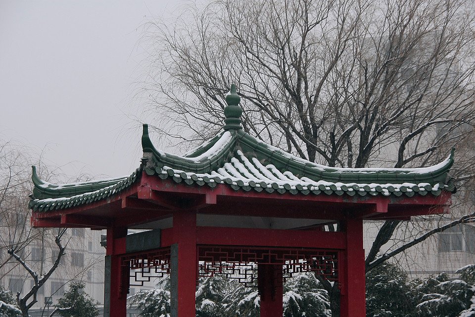 20111120-048-w960.jpg