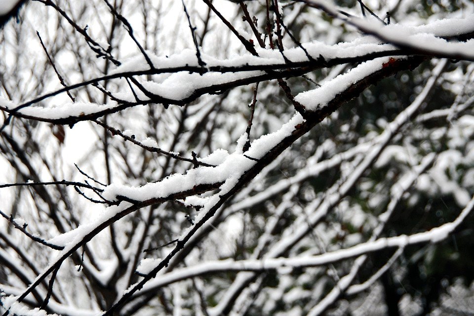 20111120-008-w960.jpg