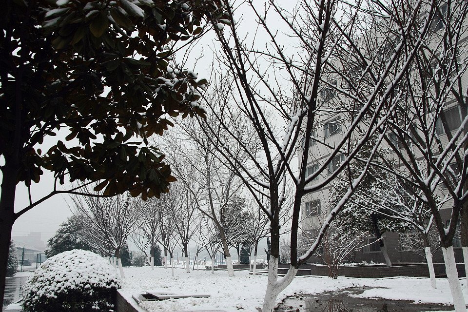 20111120-013-w960.jpg