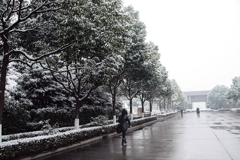 20111120-022-w960.jpg