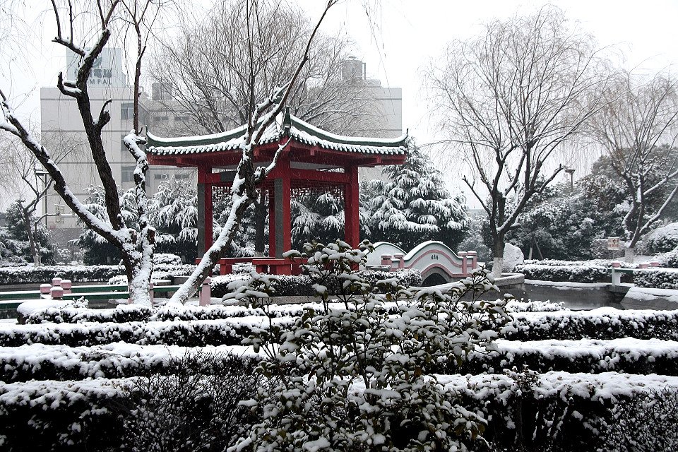 20111120-026-w960.jpg