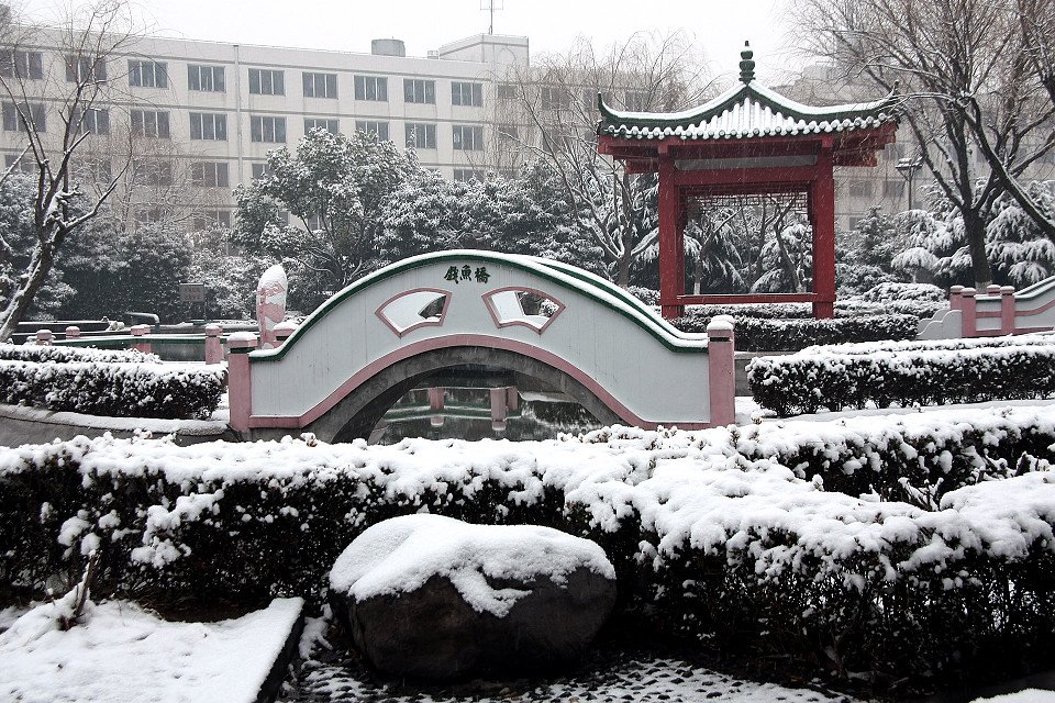 20111120-028-w960.jpg