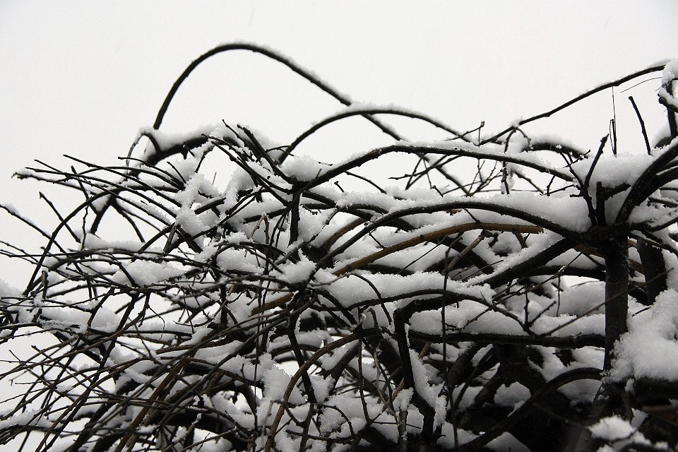 20111120-030-w960.jpg