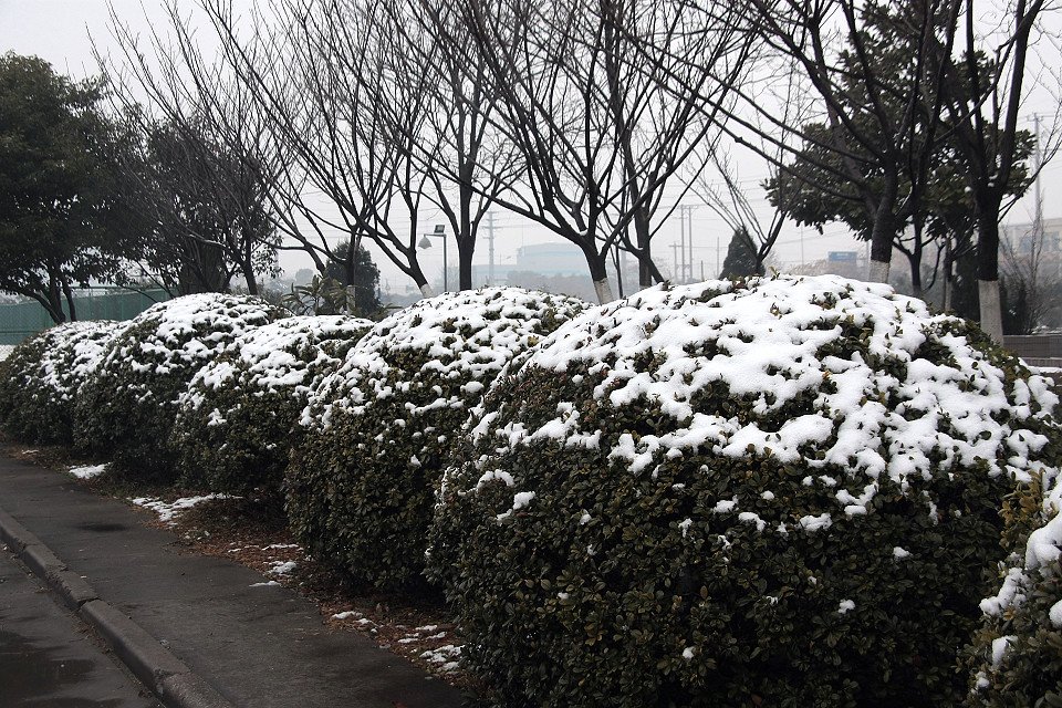 20111120-053-w960.jpg