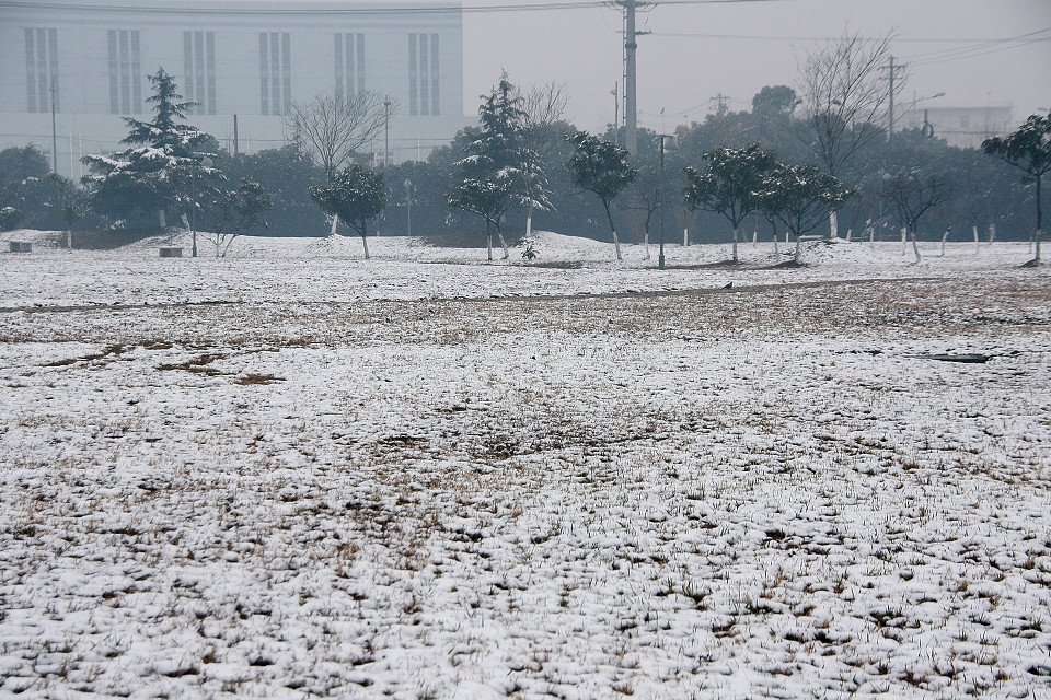 20111120-055-w960.jpg