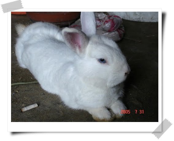 香煙很貴好不好