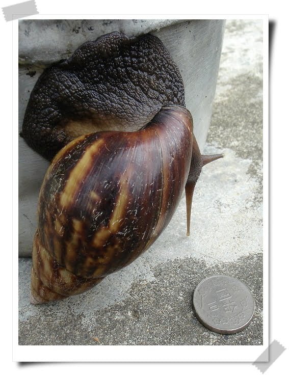 花十元看一場戲