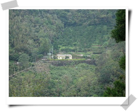 丁丁的後花園曝光照 !!!