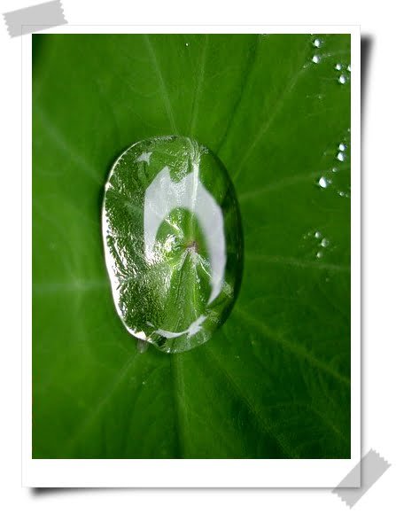 還在堅持什麼 ?