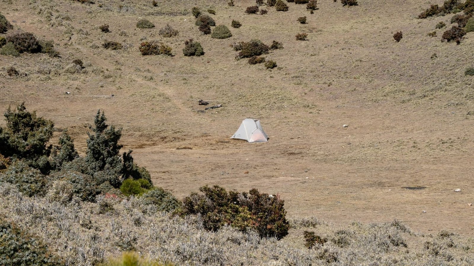 我的孤獨比較喧囂