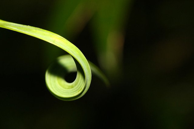 20081115C-095-960