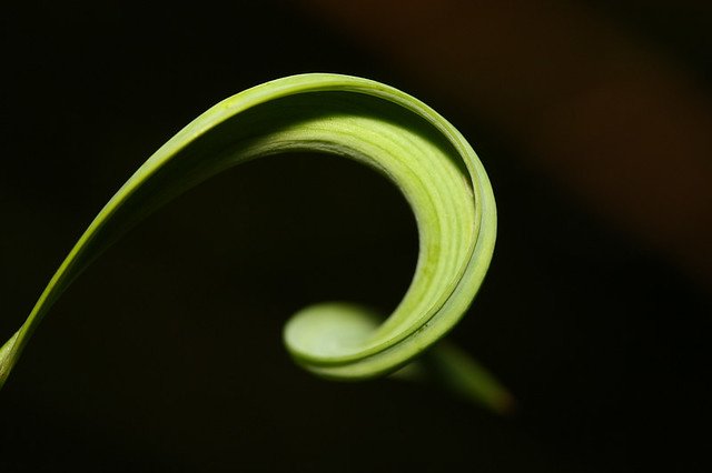 20081115C-097-960