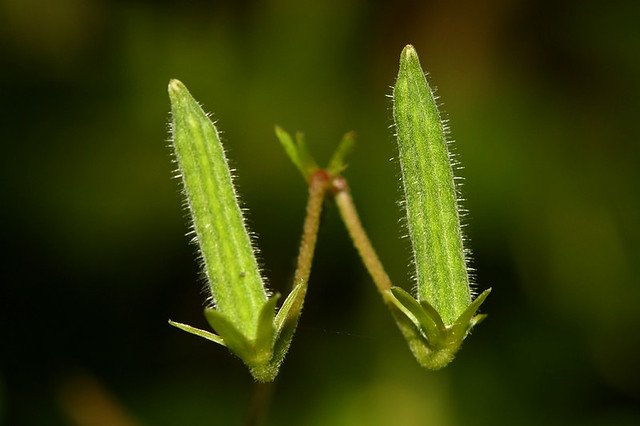 20081115C-138-960