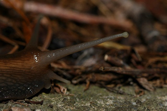 20081115C-011-960