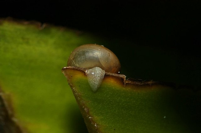 20081115C-034-960