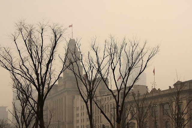 20110123-035-w960.jpg