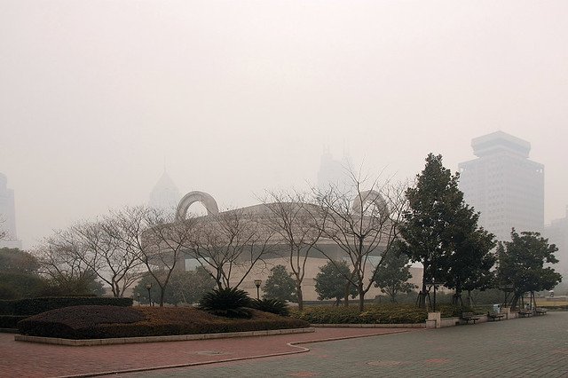 20110123-128-w960.jpg