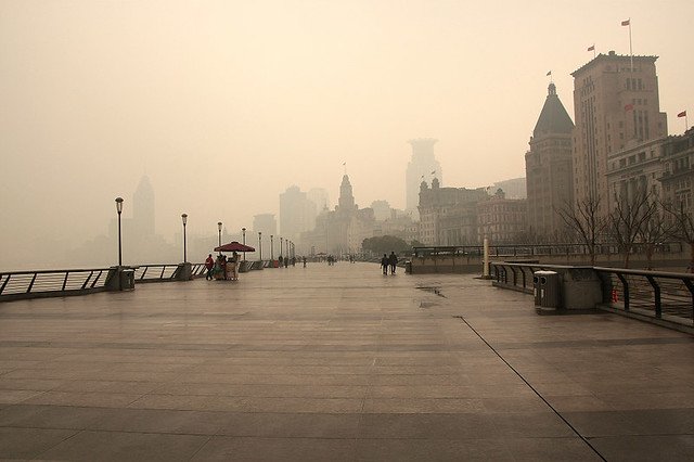 20110123-057-w960 (2).jpg