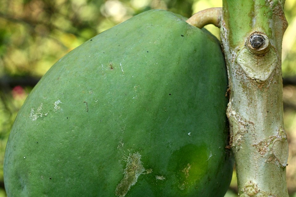 20110206-111-w960.jpg