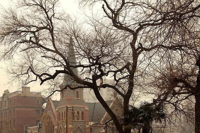 20110123-096-w960.jpg