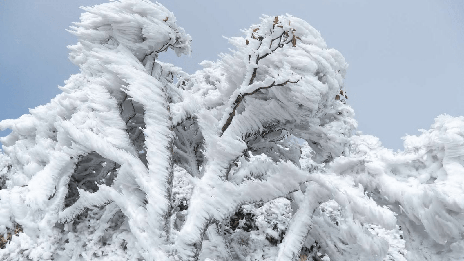 今早的秘密行程是雪山單攻