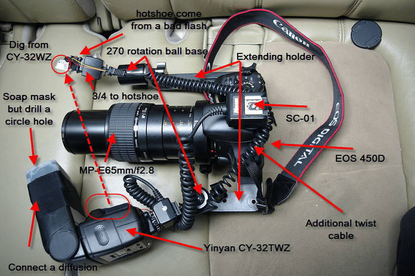 20081019-我的MP-E65mm