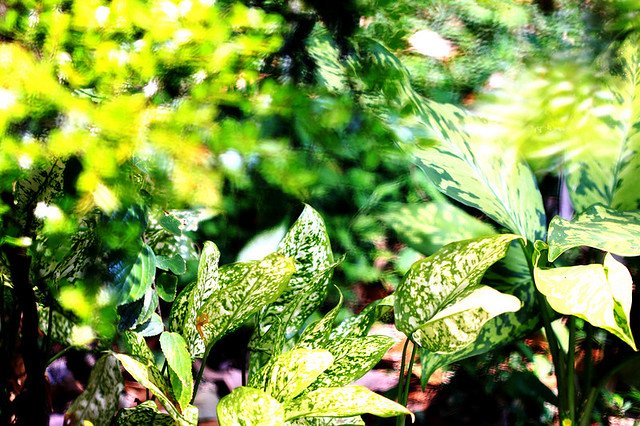 20110409-039-w960