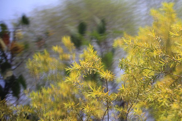 20110409-073-w960