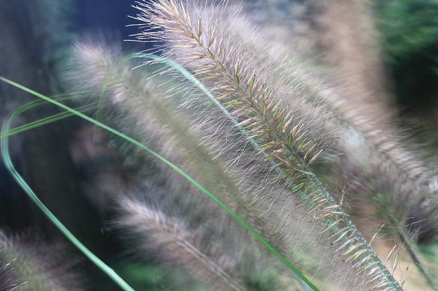 20110409-162-w960