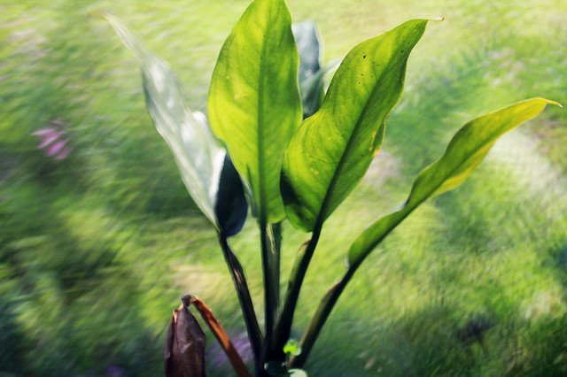 20110409-050-w960